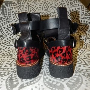 Coach Cut Out Creeper Black Calf Hair Wild Beast